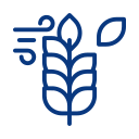 سیستم های خشک کن غلات